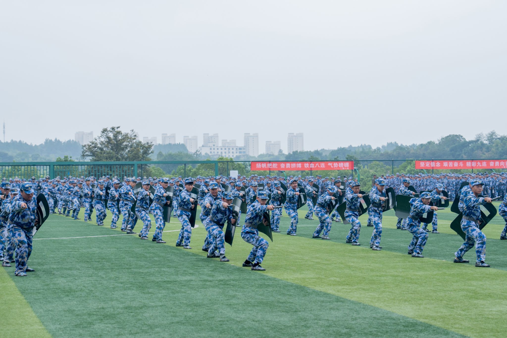 57C33